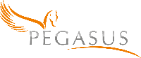 Pegasus Consultancy-Easy Redmine Partner Pegasus Consultancy-Easy Redmine Partner